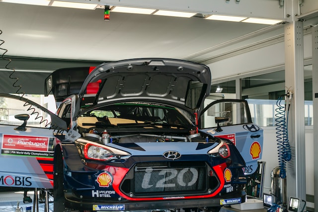 Lupinus rallimatka kenia ralli 2023 aikataulu ruotsin ralli 2024 puolan ralli 2024