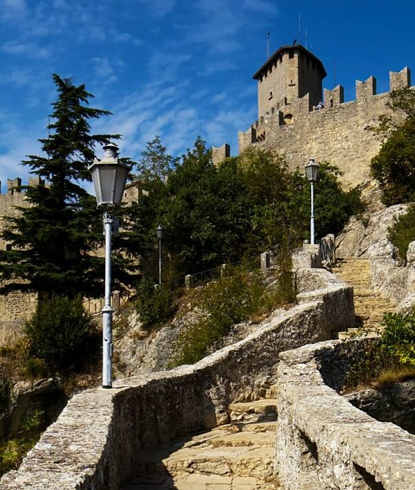 lupinus rallylegend san marino